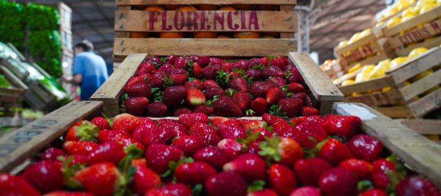 Fiesta de la Frutilla en Escobar