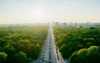 La naturaleza interrumpida: un proyecto de corredores verdes para el AMBA