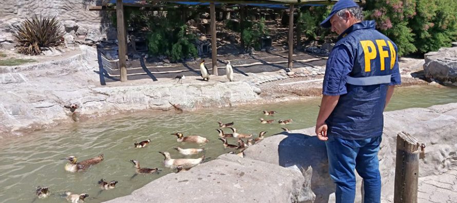 Allanaron el Aquarium de Mar del Plata por presunta contaminación del mar con residuos peligrosos