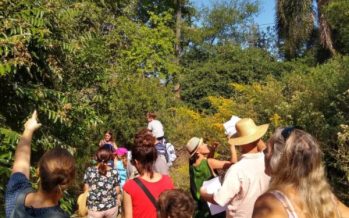 Visita con guardaparques de la barranca de la Quinta Pueyrredón