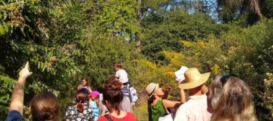 Visita con guardaparques de la barranca de la Quinta Pueyrredón