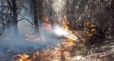 Gobernadores de la Patagonia piden declarar la Emergencia Ígnea