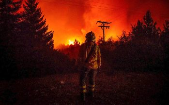 Incendios en la Patagonia: “Ayer lloré todo el día”