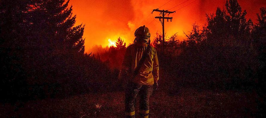 Incendios en la Patagonia: “Ayer lloré todo el día”