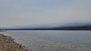 El humo cubre todoParque Nacional Los Alerces Ph Sabrina García
