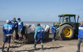Alarma ambiental en la costa bonaerense: el 78% de los residuos hallados en las playas son plásticos