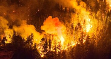 Incendios en la Patagonia: denuncian que el gobierno nacional desfinanció el Servicio Nacional del Manejo del Fuego