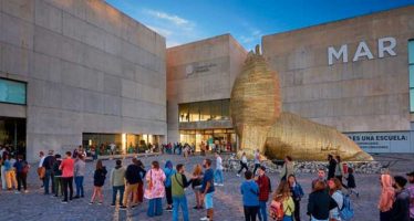 “Vidas submarinas” en el Museo MAR de Mar del Plata