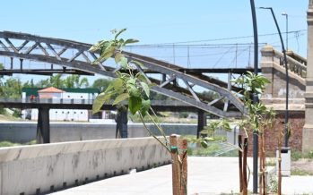 Luján impulsa el plan de arbolado y parquización en la ribera del río