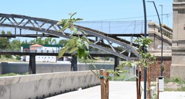 Luján impulsa el plan de arbolado y parquización en la ribera del río