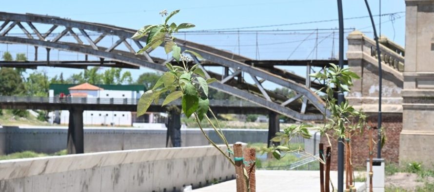 Luján impulsa el plan de arbolado y parquización en la ribera del río