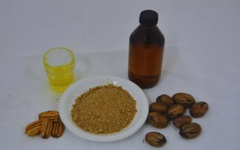 Se incorporaron nuevos derivados de la nuez pecán al Código Alimentario Argentino