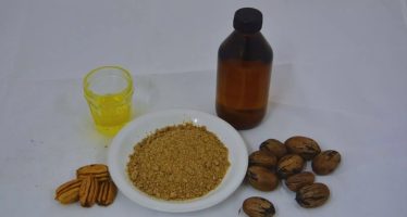 Se incorporaron nuevos derivados de la nuez pecán al Código Alimentario Argentino