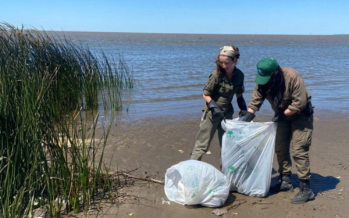 Jornada de limpieza comunitaria en la Reserva Natural de Acassuso
