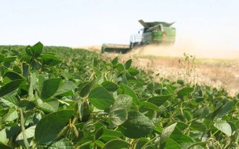 Un informe del INTA San Pedro determinó que enero de 2026 fue el más seco de los últimos 60 años