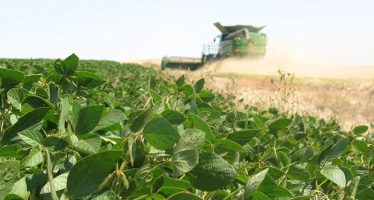 Un informe del INTA San Pedro determinó que enero de 2026 fue el más seco de los últimos 60 años