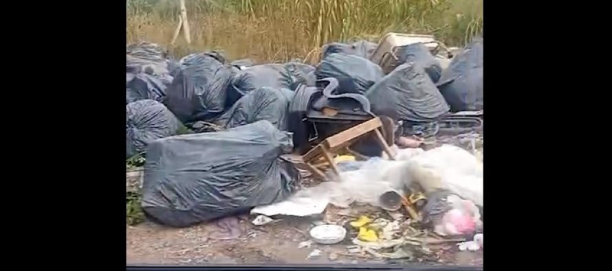 Los grabaron con un celular creando un basural en Escobar: fueron identificados y sancionados