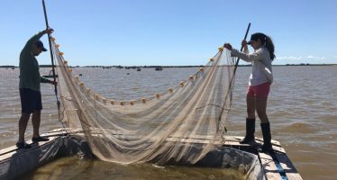 Ciencia y comunidad se unen para repoblar con pejerrey las lagunas bonaerenses