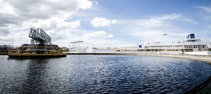 Vigilancia en las cloacas: cómo las aguas residuales del AMBA anticipan la circulación de virus gastroentéricos