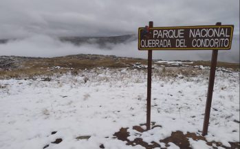 Un piloto debe compensar daño ambiental equipando a los guardaparques del Parque Nacional Quebrada del Condorito