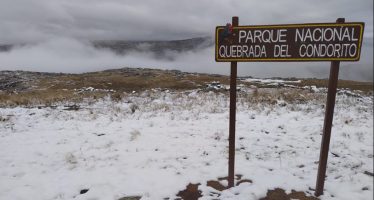 Un piloto debe compensar daño ambiental equipando a los guardaparques del Parque Nacional Quebrada del Condorito