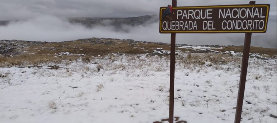 Un piloto debe compensar daño ambiental equipando a los guardaparques del Parque Nacional Quebrada del Condorito