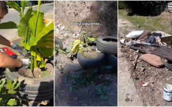 Limpiaron un basural en Maschwitz y a los cuatro días ya había uno peor