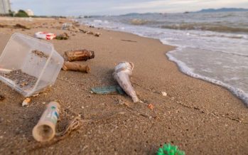 La Provincia se une al CONICET y a una red internacional para monitorear el estado de la Costa Atlántica