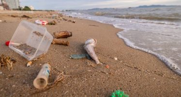 La Provincia se une al CONICET y a una red internacional para monitorear el estado de la Costa Atlántica