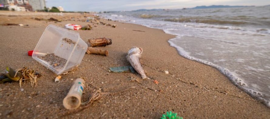 La Provincia se une al CONICET y a una red internacional para monitorear el estado de la Costa Atlántica