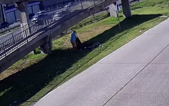 Escobar: Creaba un microbasural, lo registró una cámara y en menos de una hora fue sancionado