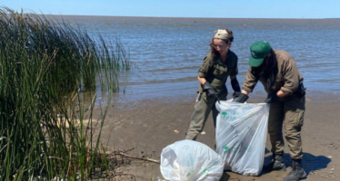 Jornada de Voluntariado Ambiental en San Isidro