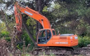 “No es limpieza, es deforestación”: el grito de los vecinos ante la destrucción del bosque en Boulogne