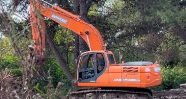 “No es limpieza, es deforestación”: el grito de los vecinos ante la destrucción del bosque en Boulogne