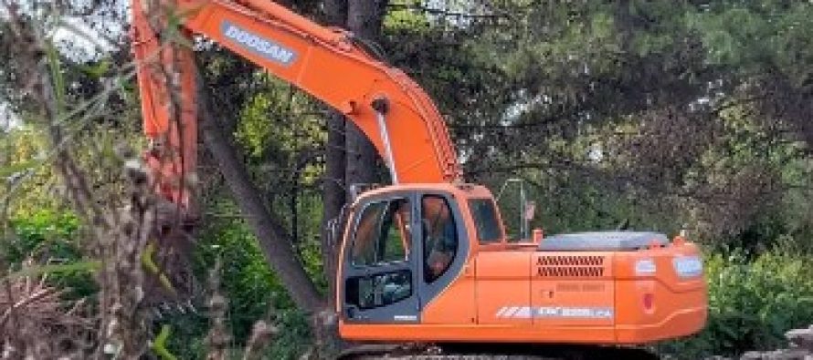 “No es limpieza, es deforestación”: el grito de los vecinos ante la destrucción del bosque en Boulogne