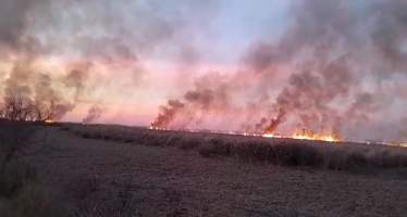 Llamas en el Delta del Paraná: investigan quemas intencionales frente a Ramallo y San Pedro