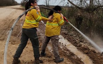 Seis voluntarias se sumaron al Cuerpo de Guardaparques en el Parque Nacional Ciervo de los Pantanos