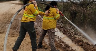 Seis voluntarias se sumaron al Cuerpo de Guardaparques en el Parque Nacional Ciervo de los Pantanos