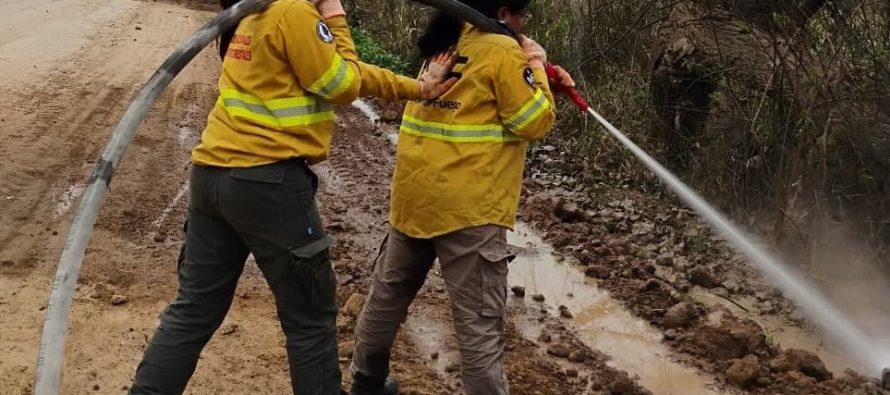 Seis voluntarias se sumaron al Cuerpo de Guardaparques en el Parque Nacional Ciervo de los Pantanos