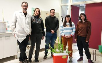 Investigadores de la UNSAM fabrican humedales artificiales para sanear el río Reconquista
