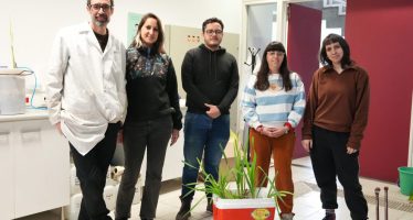 Investigadores de la UNSAM fabrican humedales artificiales para sanear el río Reconquista