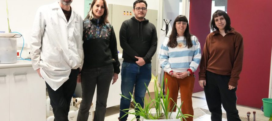 Investigadores de la UNSAM fabrican humedales artificiales para sanear el río Reconquista