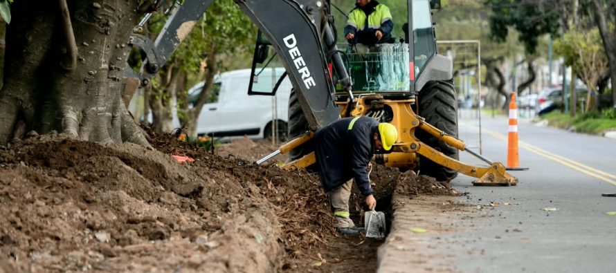 Vicente López transforma un terreno abandonado de Munro en un nuevo espacio verde