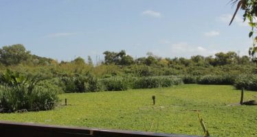 Convocan a una jornada comunitaria de remediación ambiental en el Parque Ribera Norte
