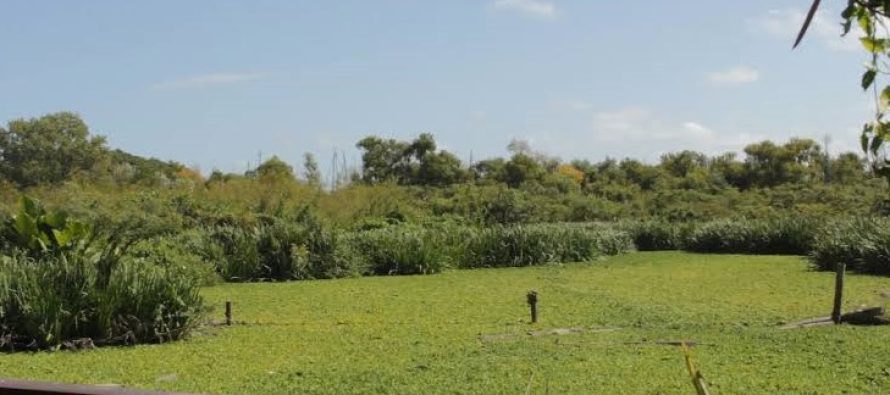Convocan a una jornada comunitaria de remediación ambiental en el Parque Ribera Norte