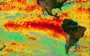 El Niño despertó: lluvias extremas y olas de calor para un planeta en crisis climática