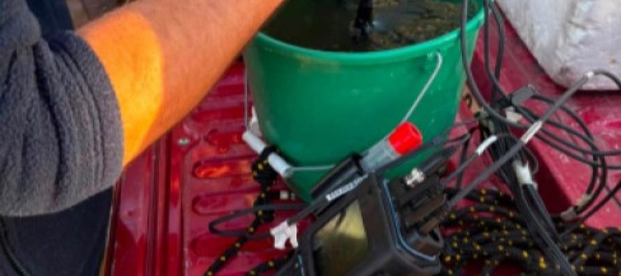 Nuevo monitoreo estacional de calidad del agua en el Río Reconquista